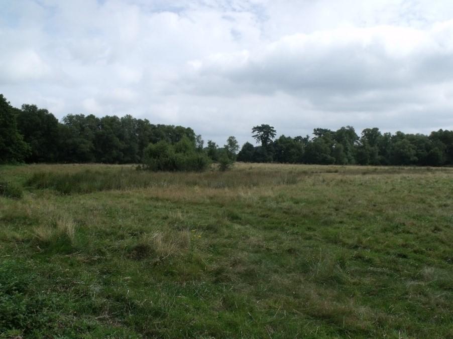 Natura 2000-1